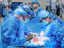 Second Pig Kidney Transplant Patient Back on Dialysis After Organ Failure