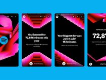Spotify Wrapped 2024